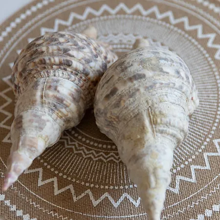 La Casa Lemonia Case de vacanță