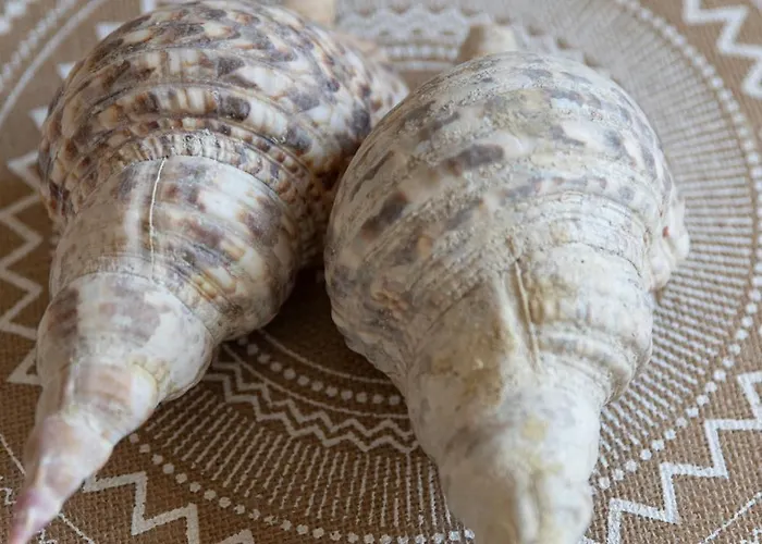 La Casa Lemonia Feriehus